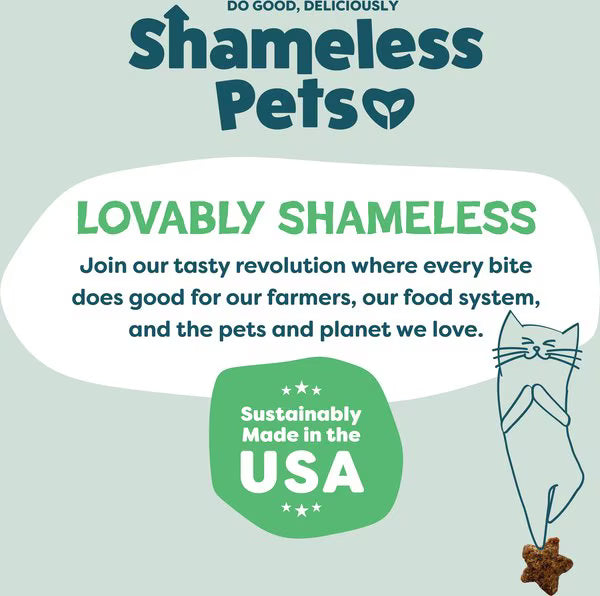 Shameless Pets Catnip N Chill Crunchy Cat Treats