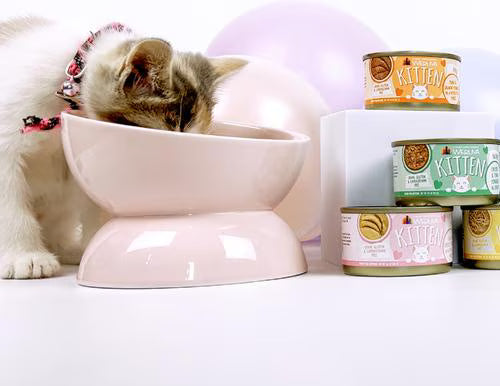 Weruva Cat Kitten Hydrating Puree Tuna & Salmon Formula