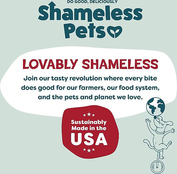 Shameless Pets Bacon Hits Different Bone Broth Chews for Dogs