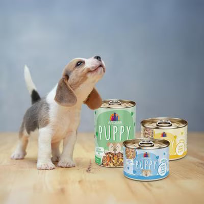 Weruva Puppy Chicken & Rice Formula in Gravy Wet Food