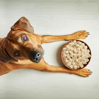 Weruva Dog Freeze-Dried Paw Lickin' Chicken