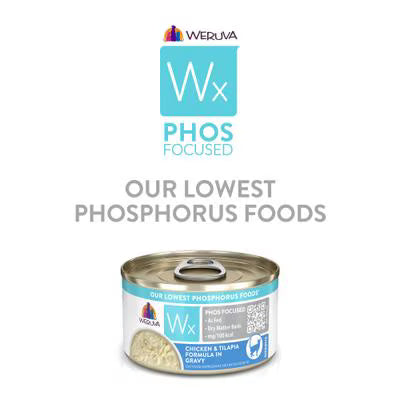 Weruva Wx Phos Focused Chicken & Tilapia Formula in Gravy For Cats