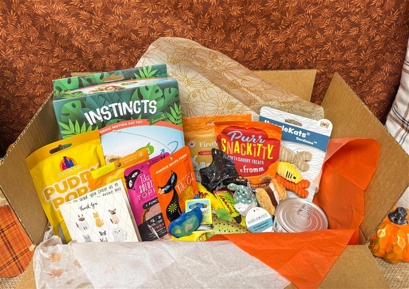 Fall Themed Holiday Goodie Box For Cats