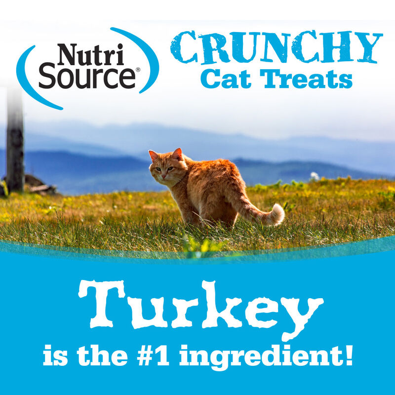 Nutrisource Crunchy Turkey and Chicken Recipe Cat Treats