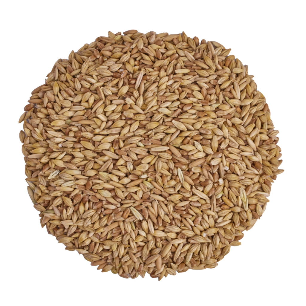 Scratch & Peck Organic 3-Grain Scratch For Chicken and Ducks