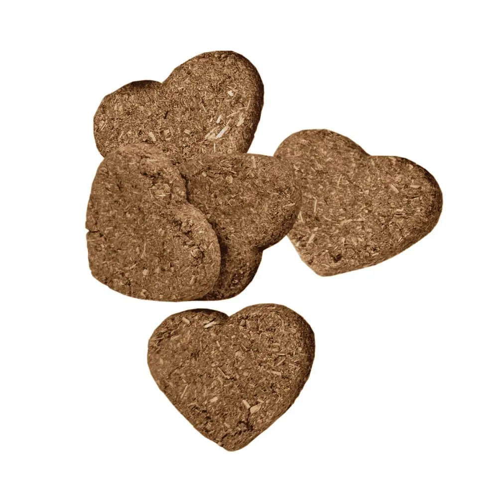 Oxbow Simple Rewards Baked Treats - Bell Pepper