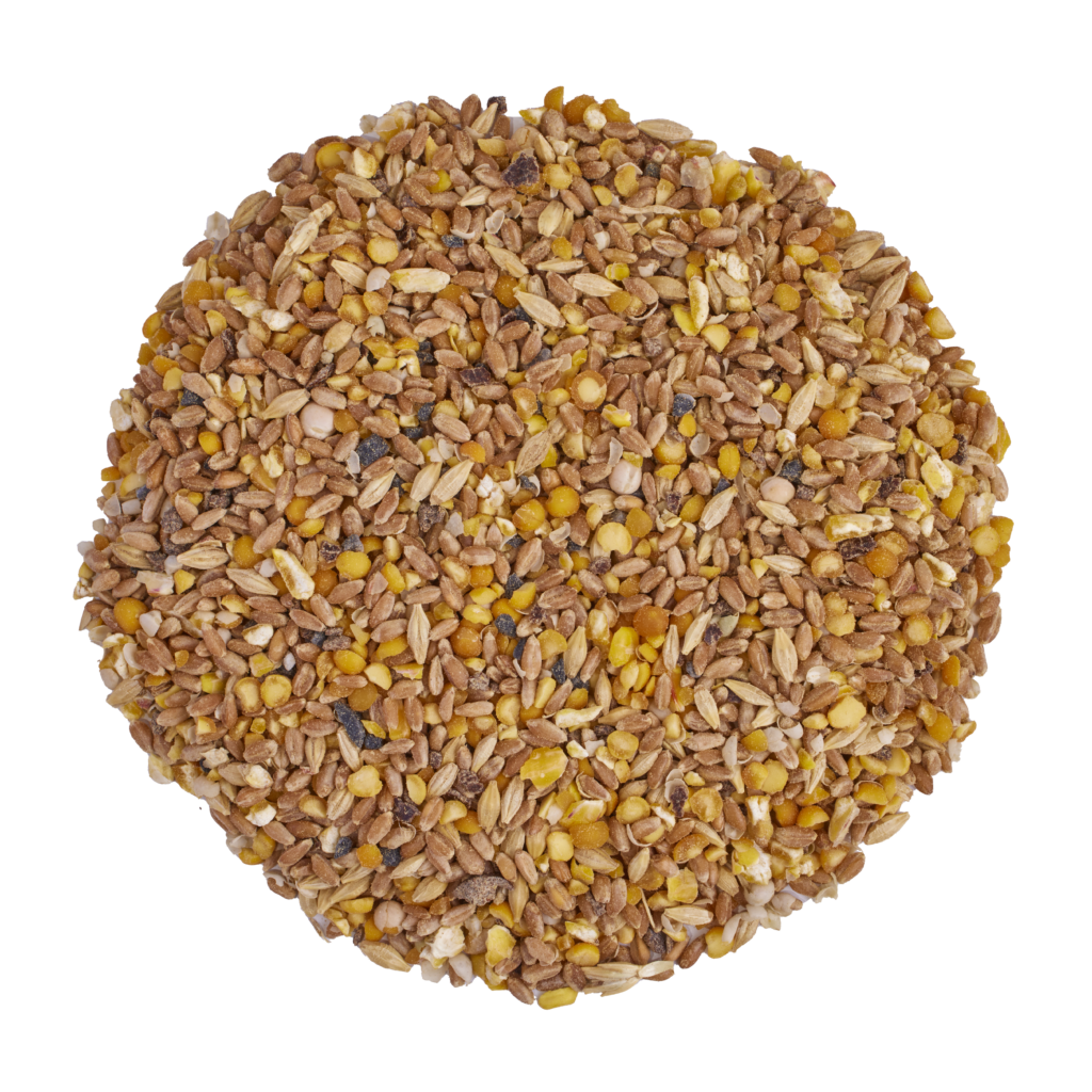 Scratch & Peck Organic Broiler Feed - Grower Mash + Corn