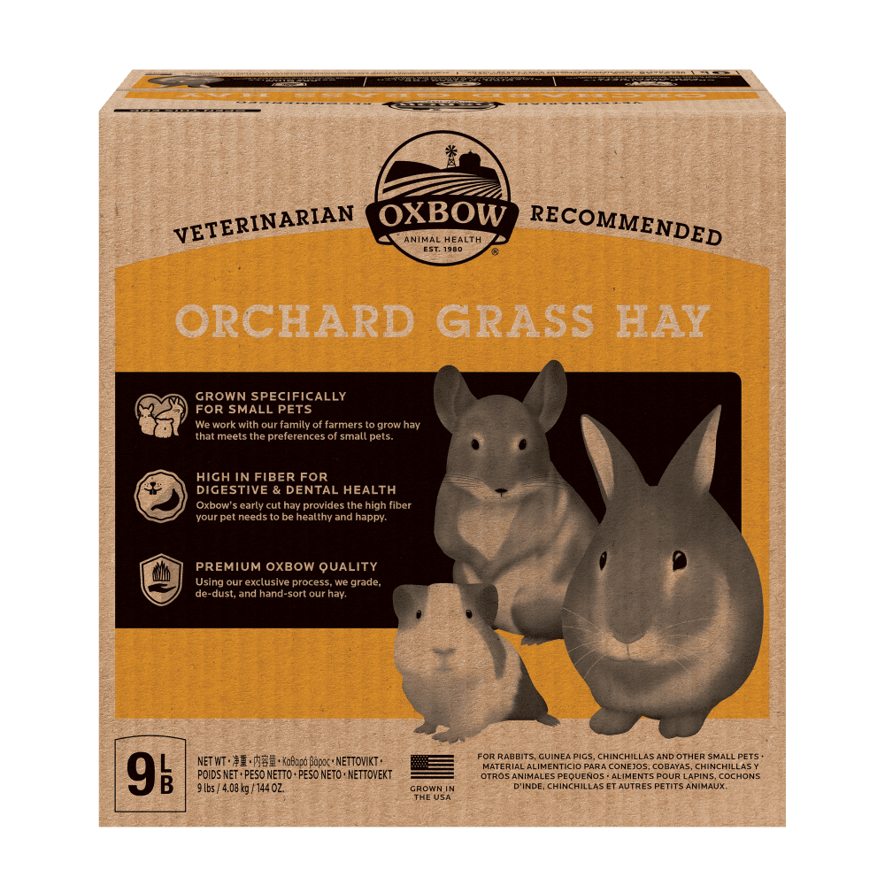 Oxbow Orchard Grass
