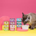Weruva Cat Classic Seafood Eat It Variety Pack