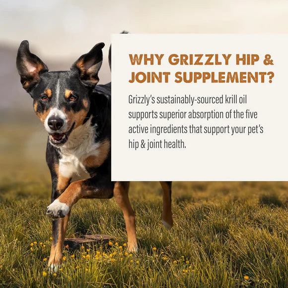 Grizzly Joint Aid Liquid