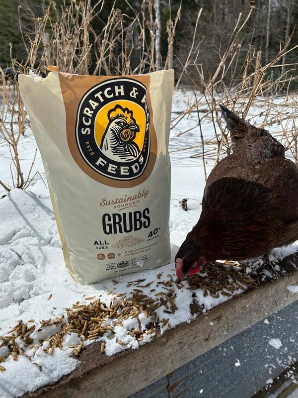 Scratch and Peck Dried Grubs