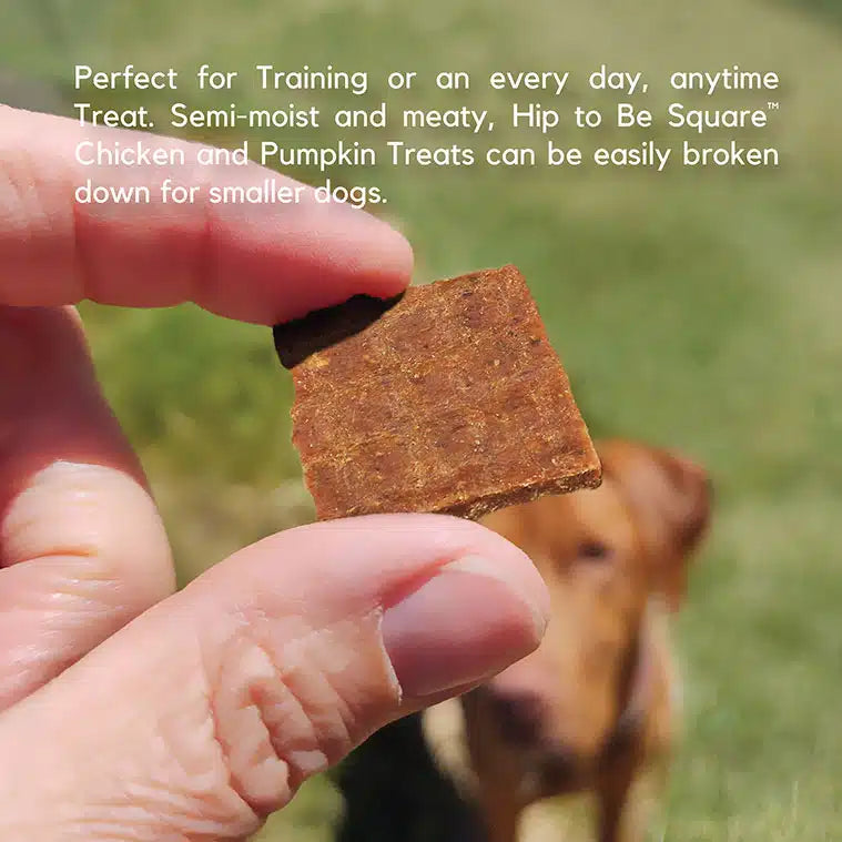 Lucy Pet Chicken & Pumpkin Dog Treats