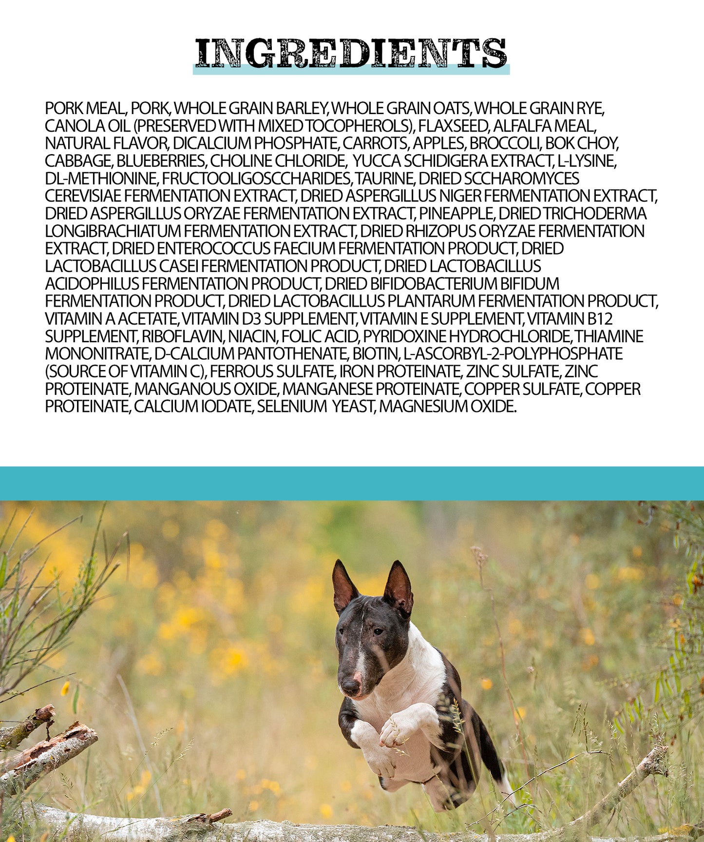 Horizon Pulsar Whole Grain Pork All Life Stages Dry Dog Food