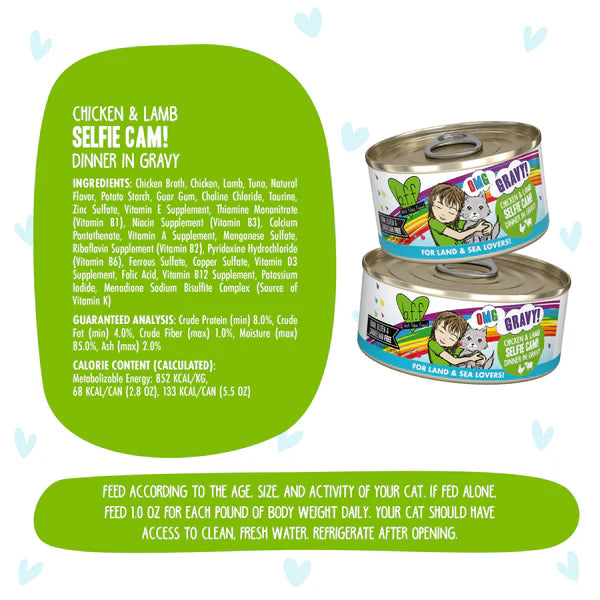 Weruva OMG Selfie Cam! Chicken & Lamb Canned Cat Food