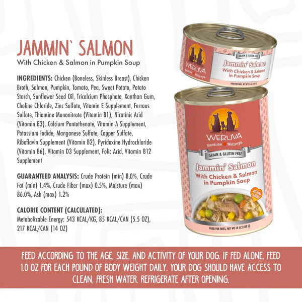 Weruva Jammin Salmon Dog Cans