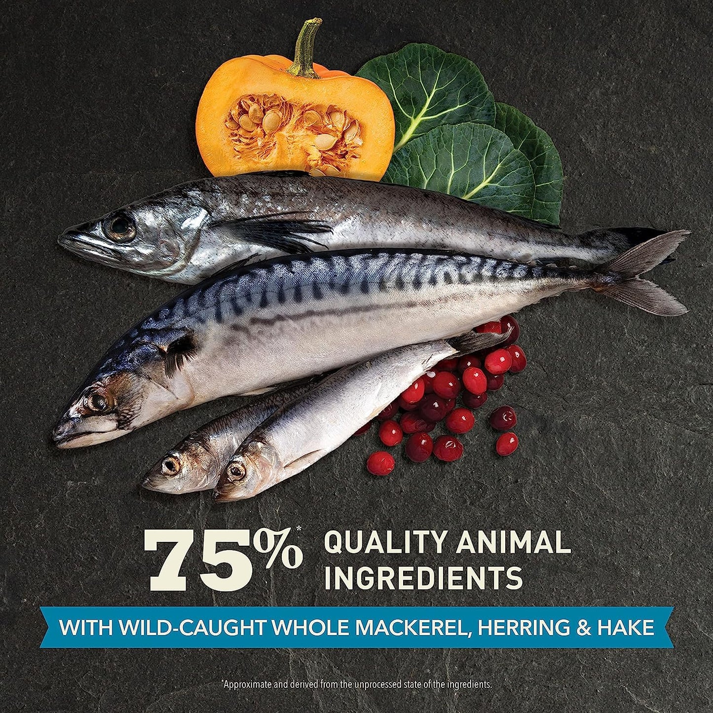 ACANA Wild Atlantic Dry Cat Food