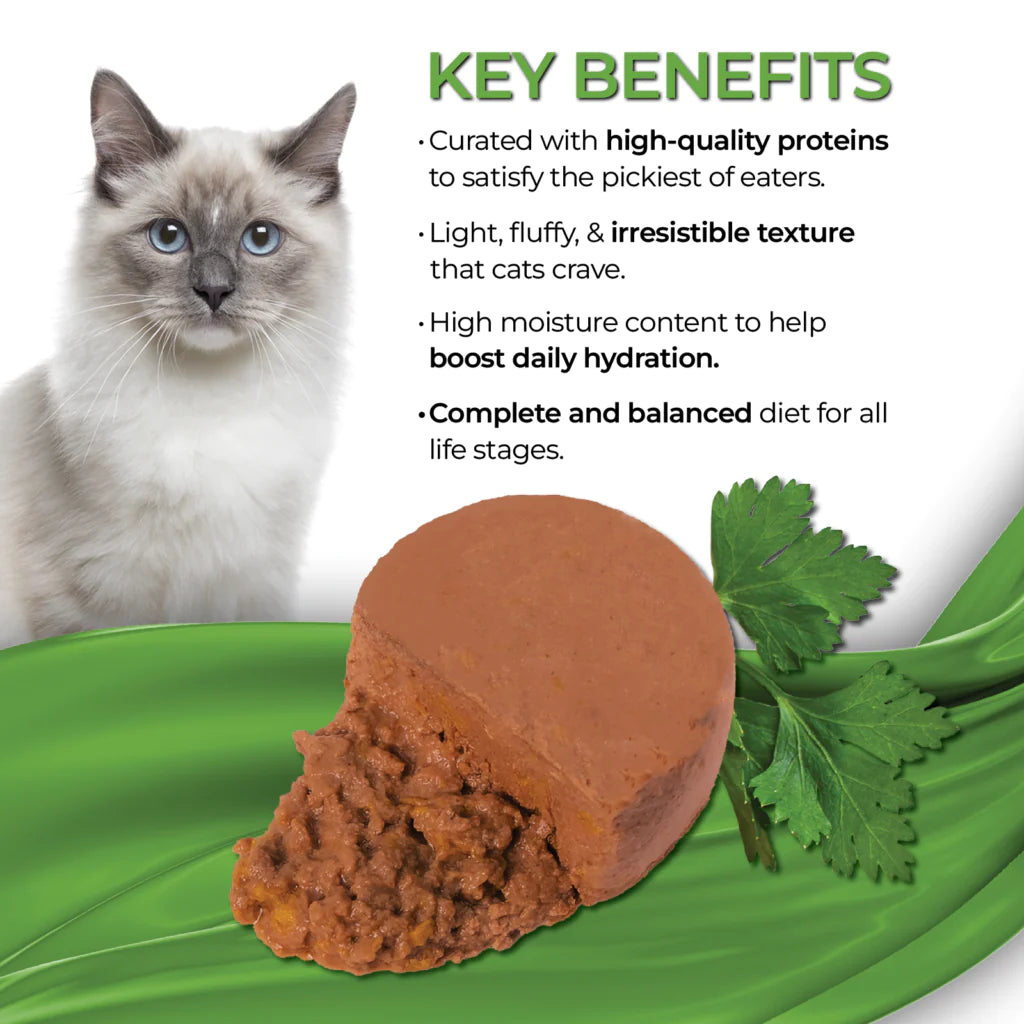 Fussie Cat Chicken With Pumpkin Entree Wet Cat Food