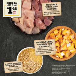 ACANA Wholesome Grains Free-Run Poultry Dry Dog Food