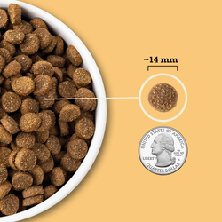 ACANA Wholesome Grains Free-Run Poultry Dry Dog Food