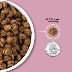 ACANA Wholesome Grains Small Breed Dry Dog Food
