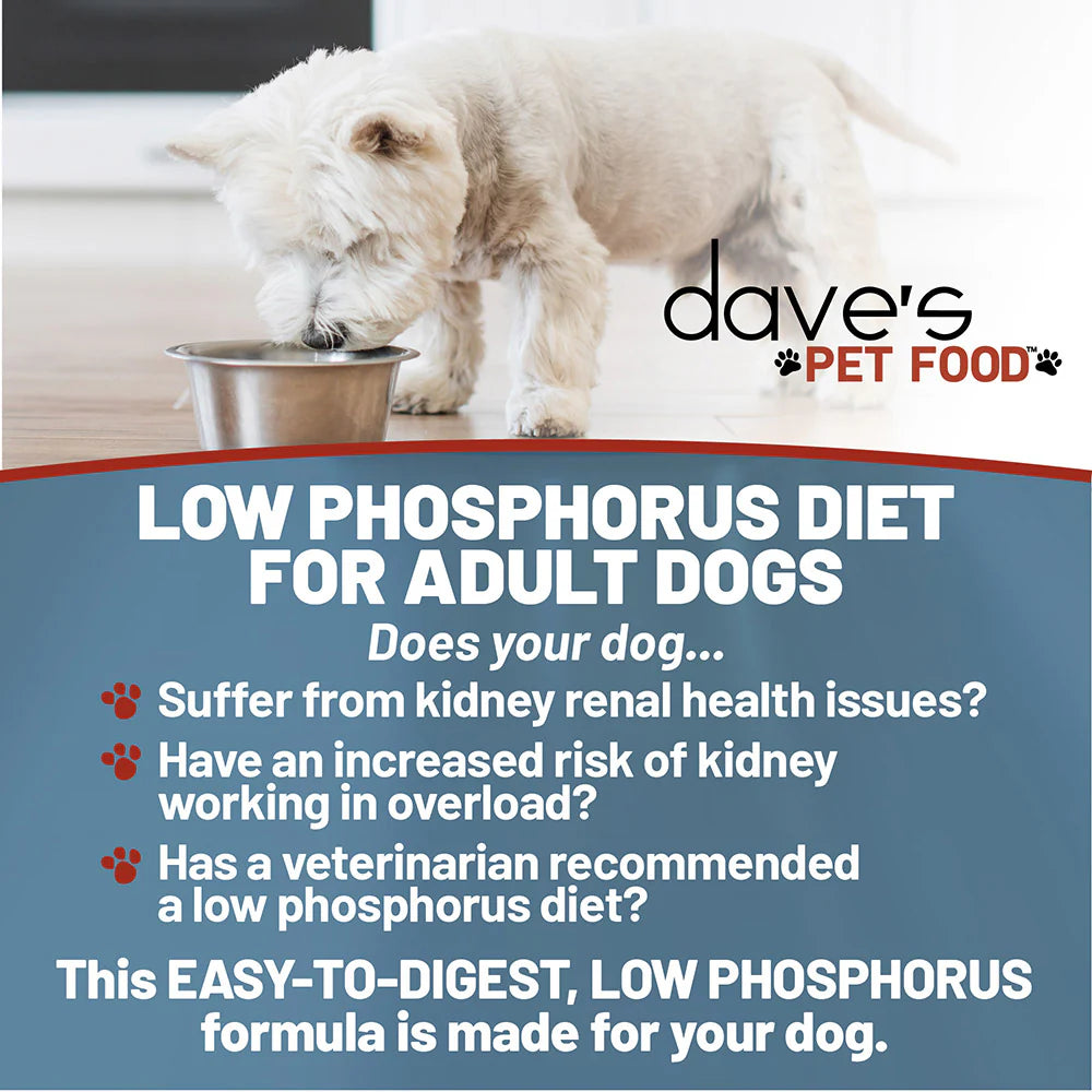 Dave's Pet Food Restricted Diet Phosphorus & Protein Tuna Pate in Gravy Canned Cat Food