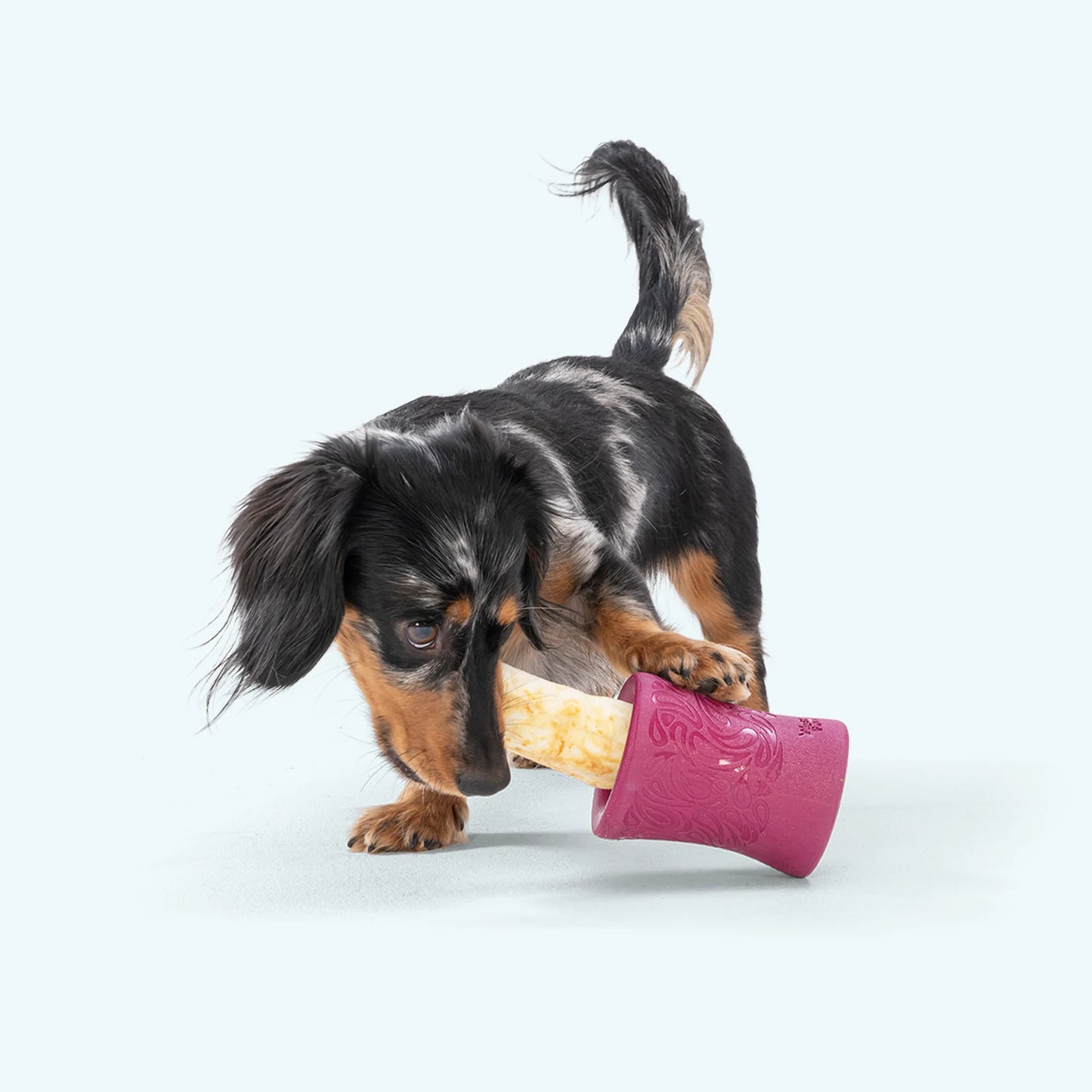 West Paw Funnl Dog Toy for Dogs