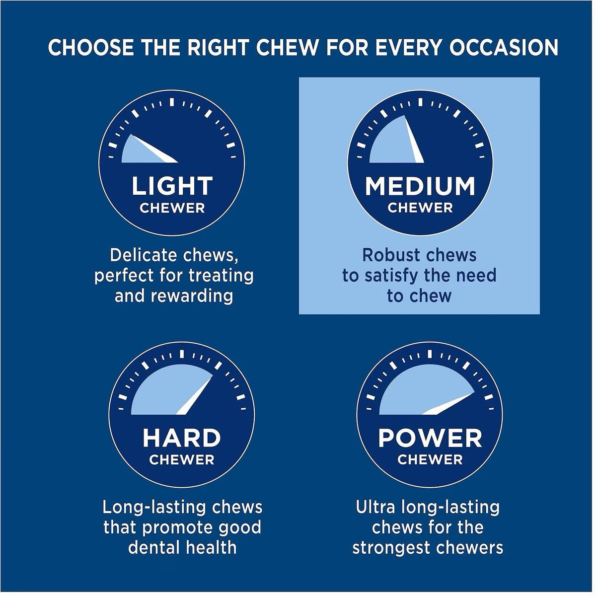 Barkworthies 12 Inch Bully Mini Case for Dogs