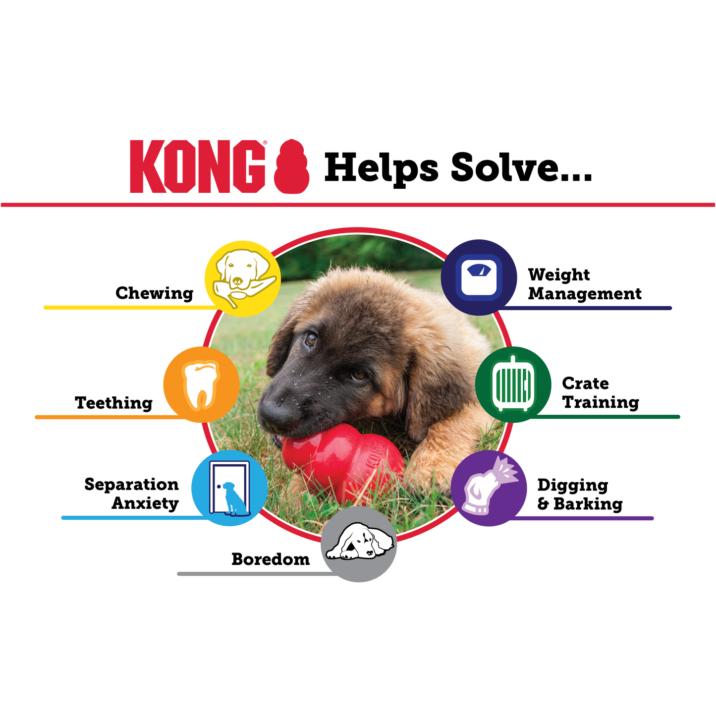 KONG PUPPY DOG TOY