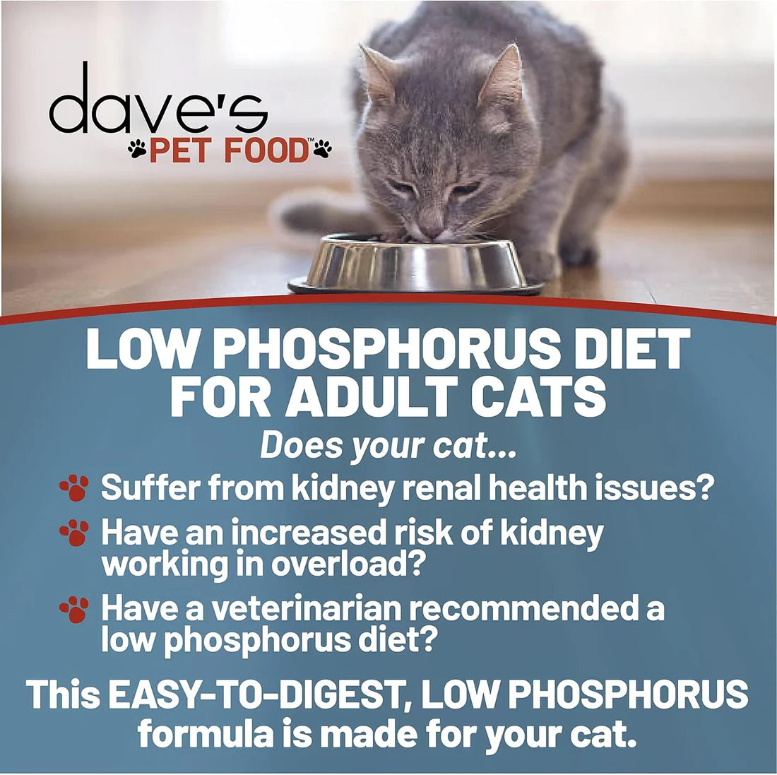 Restricted Diet Phosphorus Chicken Liver & Chicken in Juice Pate Canned Cat Food