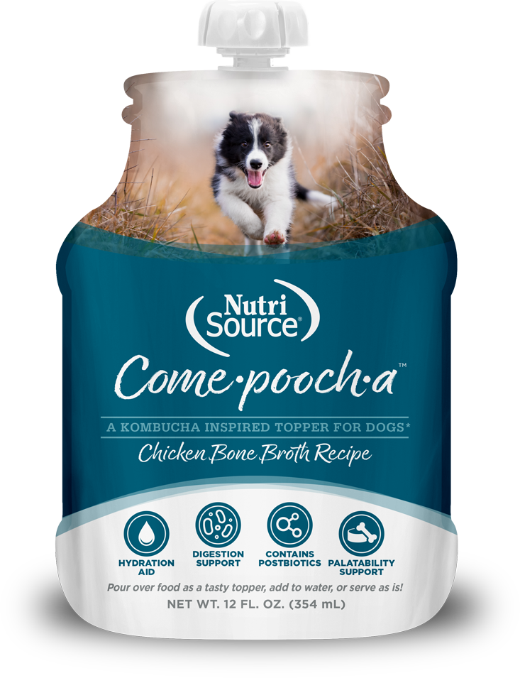 Nutrisource Come-Pooch-A Chicken Bone Broth Recipe for Dogs