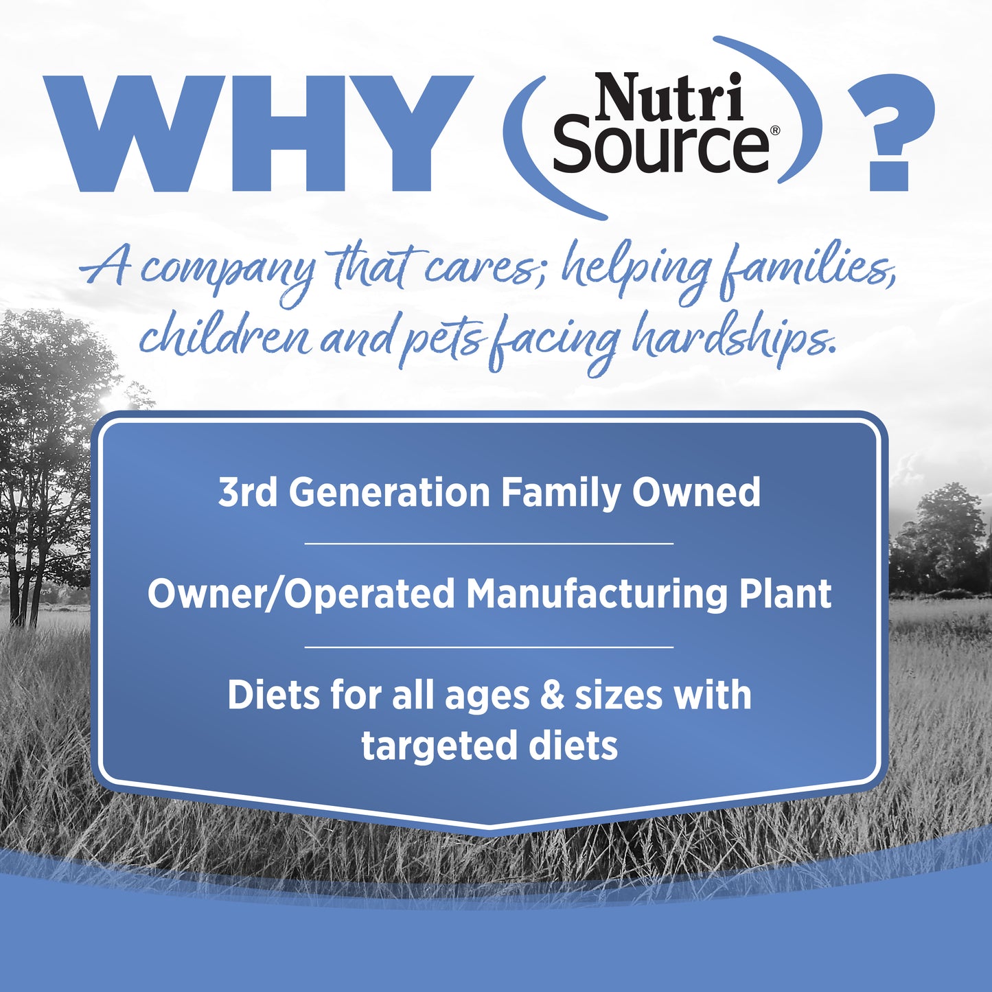 PureVita Grain Free Turkey Entrée for Cats