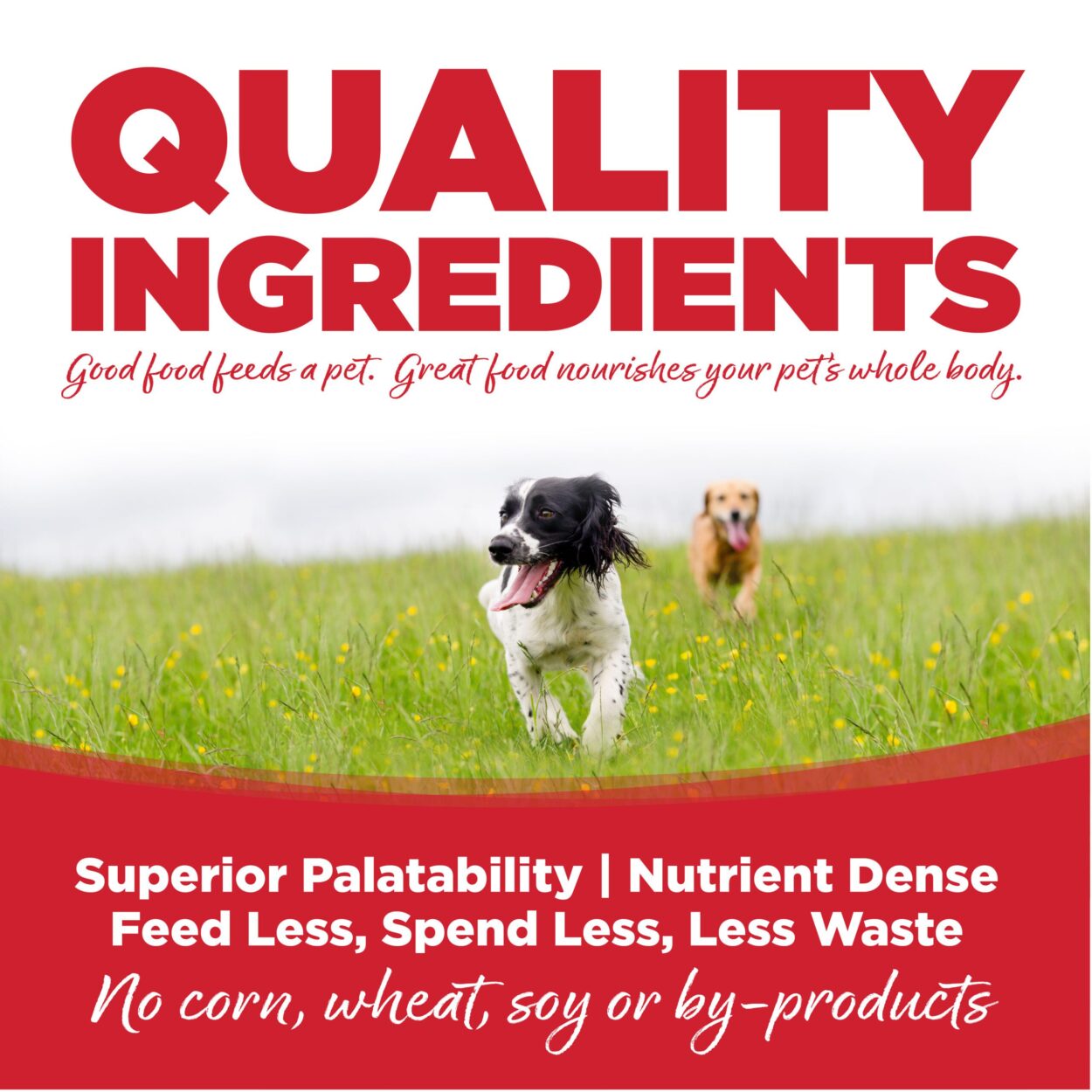Nutrisource Large Breed Adult Beef and Rice Dry Dog Food