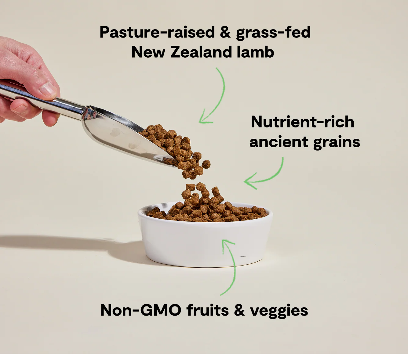OPEN FARM Pasture Raised Lamb for Dogs