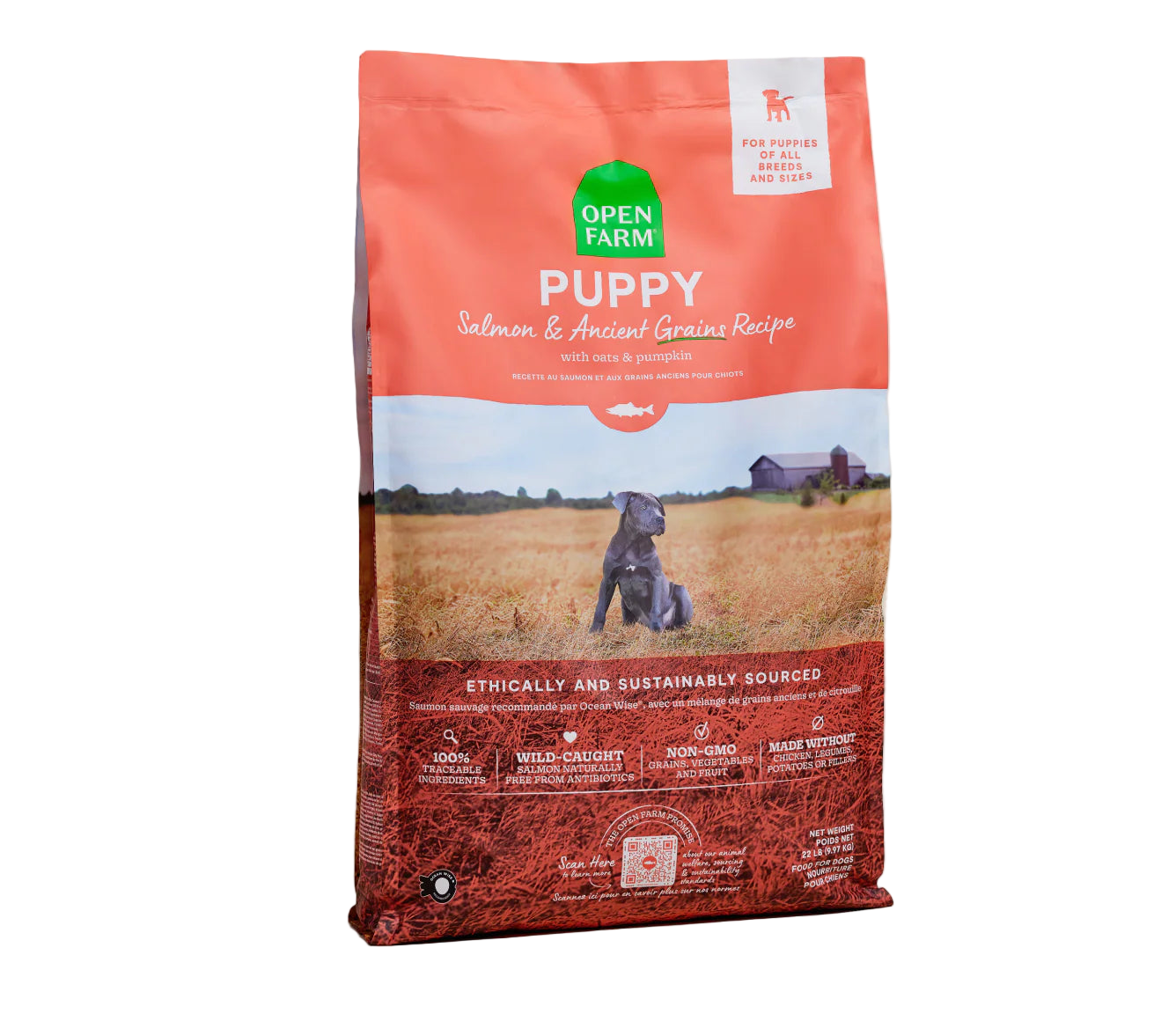 Open Farm Ancient Grain Salmon Puppy Kibble