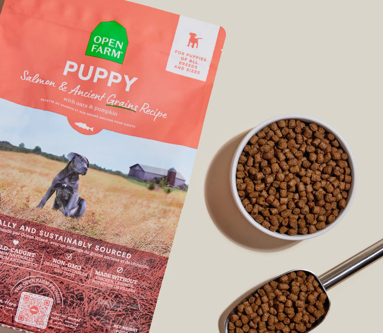 Open Farm Ancient Grain Salmon Puppy Kibble