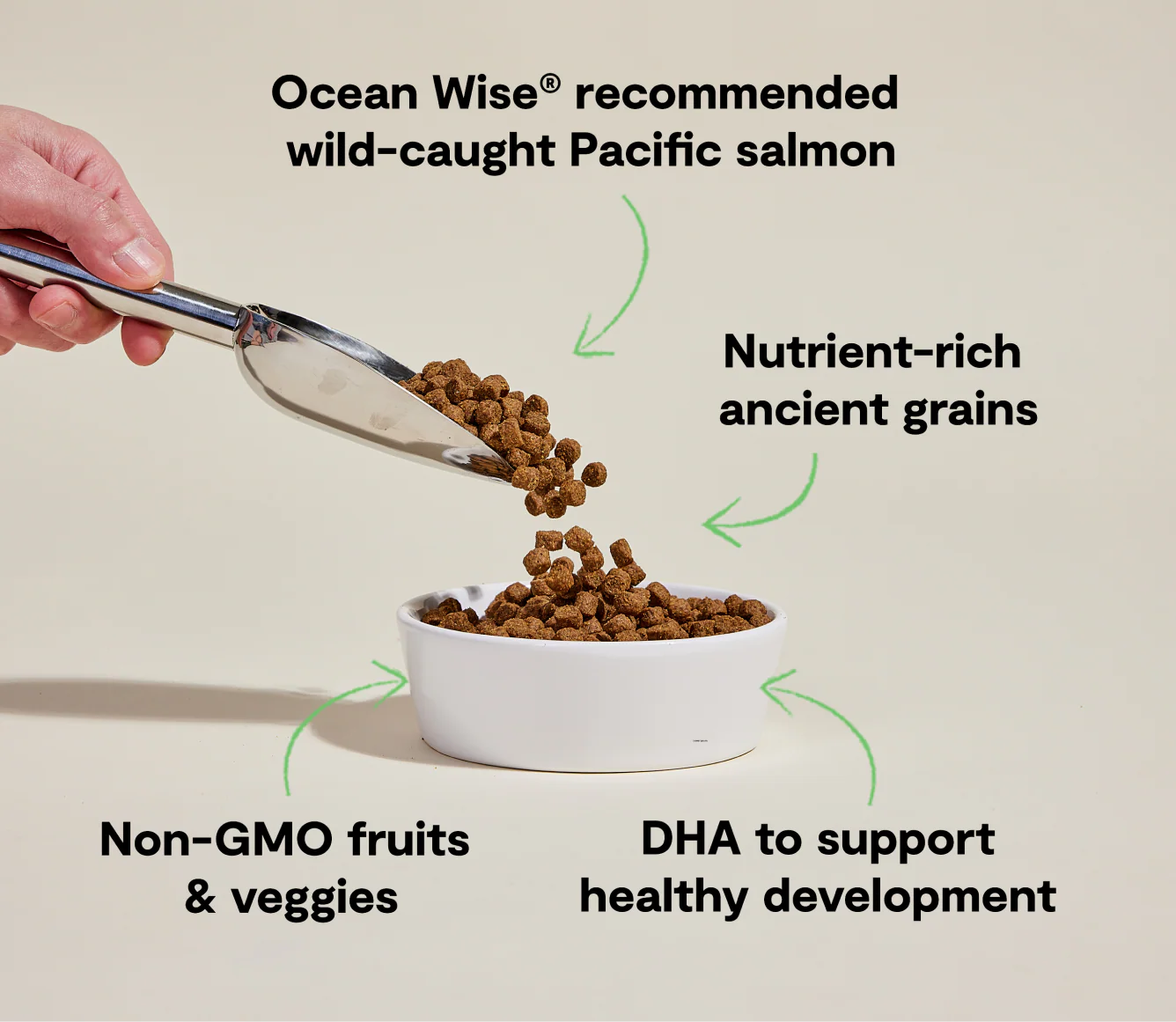 Open Farm Ancient Grain Salmon Puppy Kibble