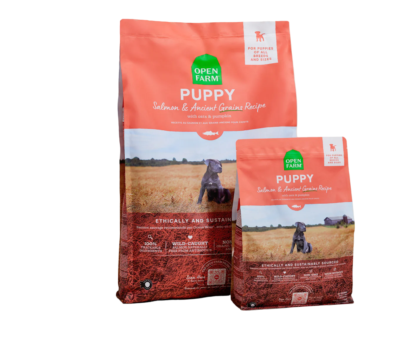 Picture of Open Farm Ancient Grain Salmon Puppy Kibble – Hearty Pet