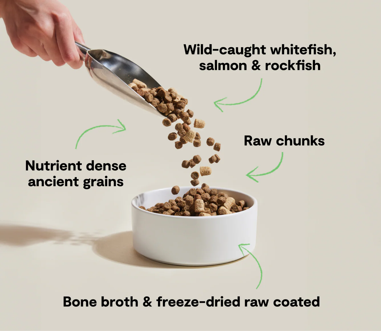 RawMix Wild Ocean Ancient Grain Dog Kibble