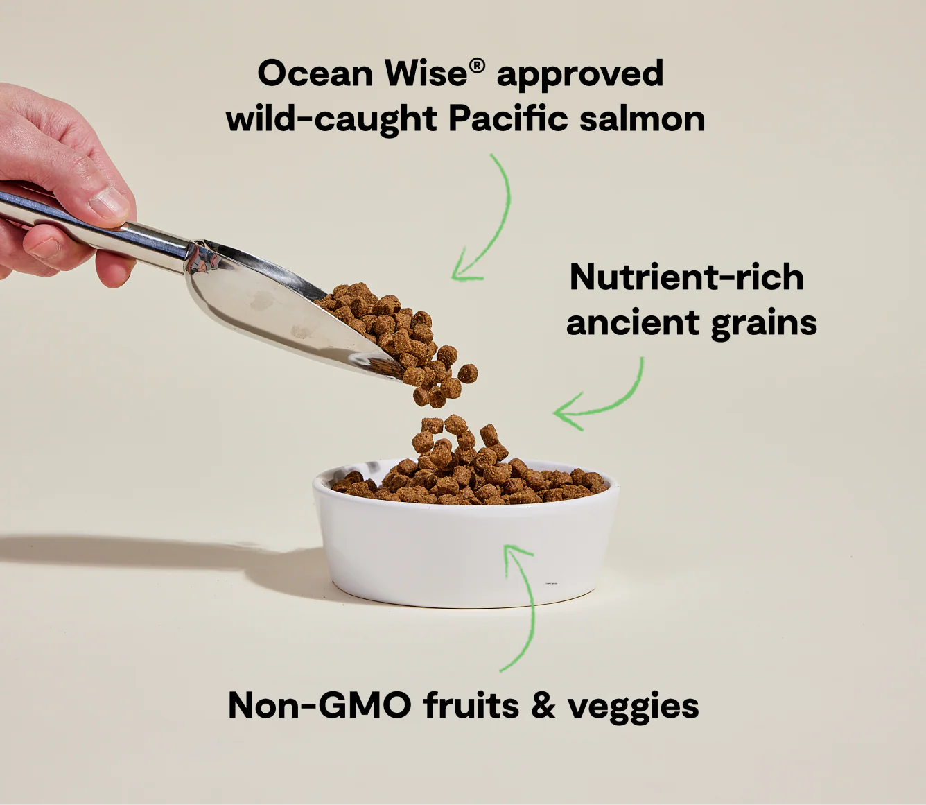 OPEN FARM Wild Caught Salmon for Dogs