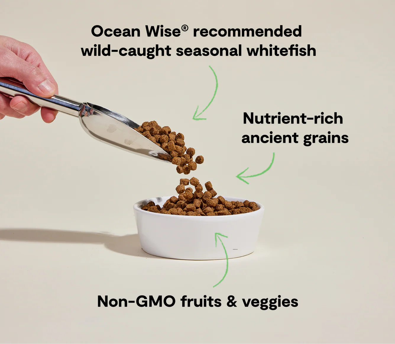 OPEN FARM Catch-Of-The-Season Whitefish for Dogs