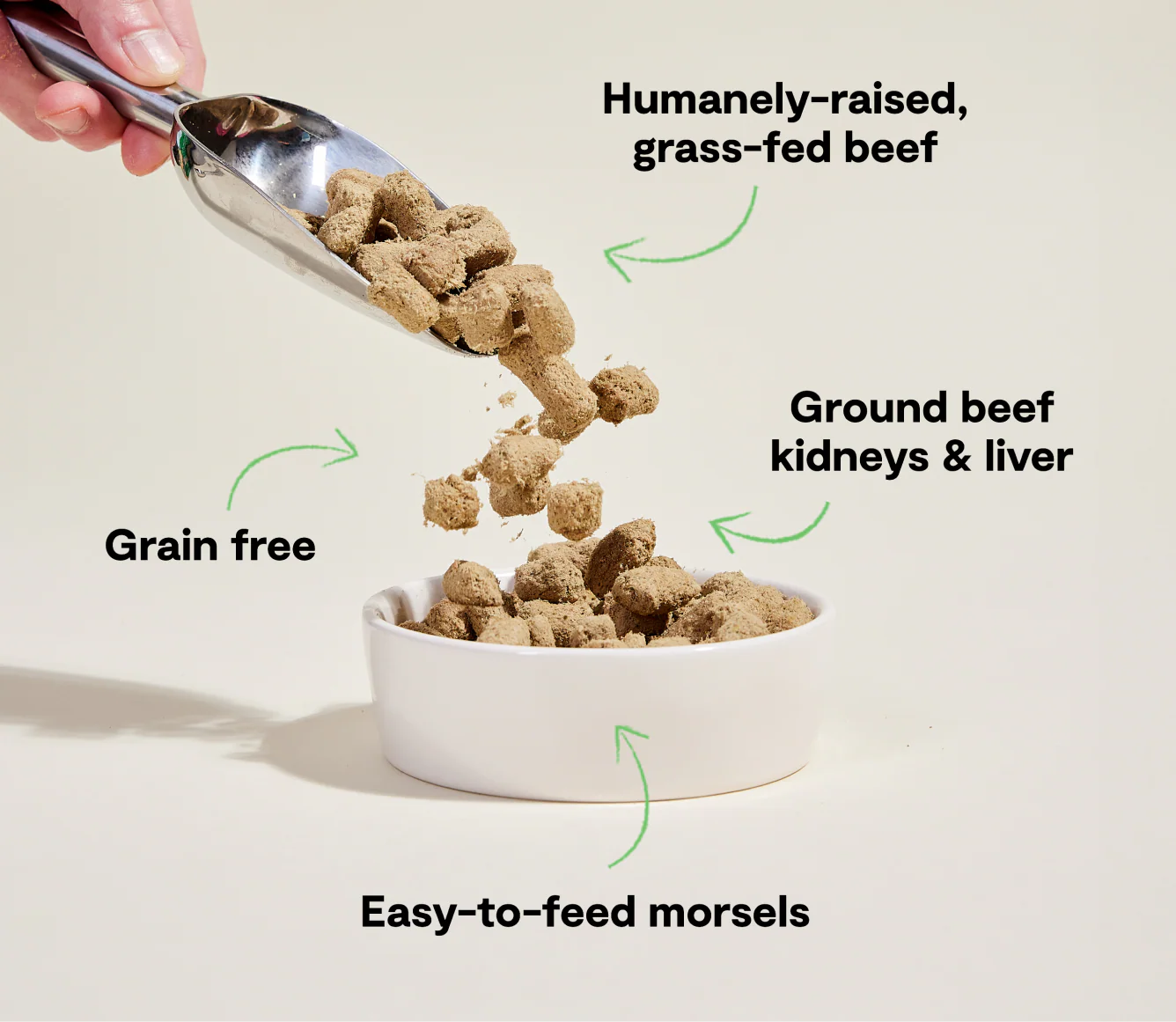 Open Farm Freeze Dried Raw - Grass Fed Beef Morsels for Dogs