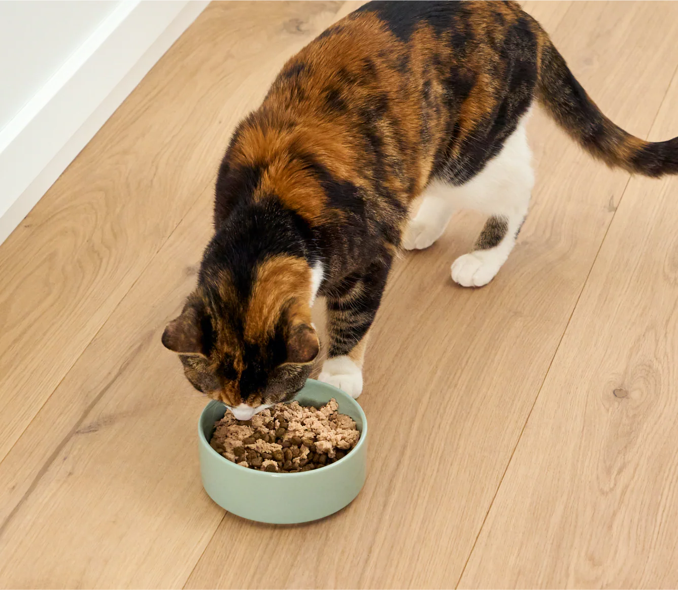 Open Farm Arctic Char Wet Topper for Cats