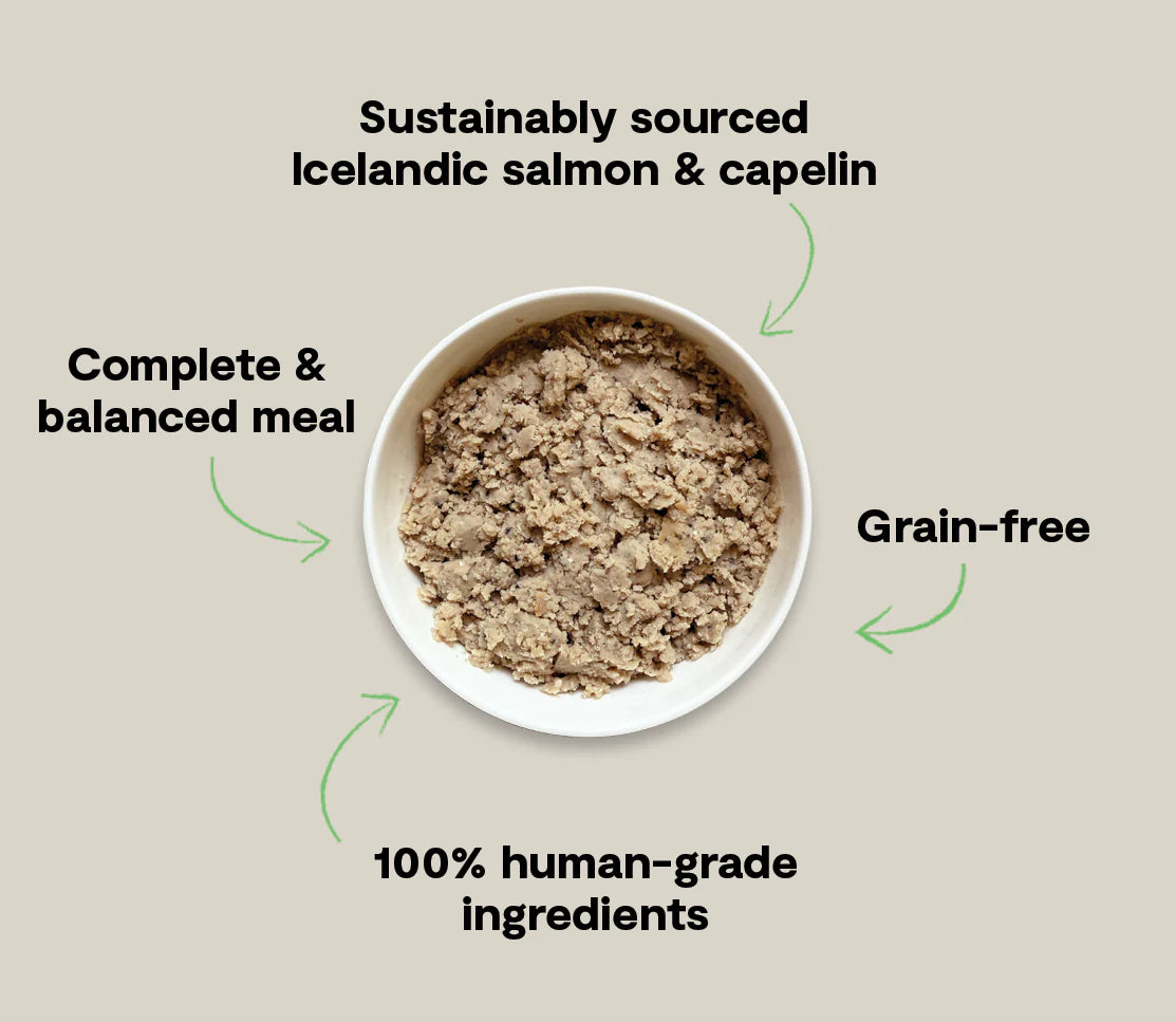 Open Farm Salmon & Capelin Recipe With Kelp Wet Icelandic Dog Food