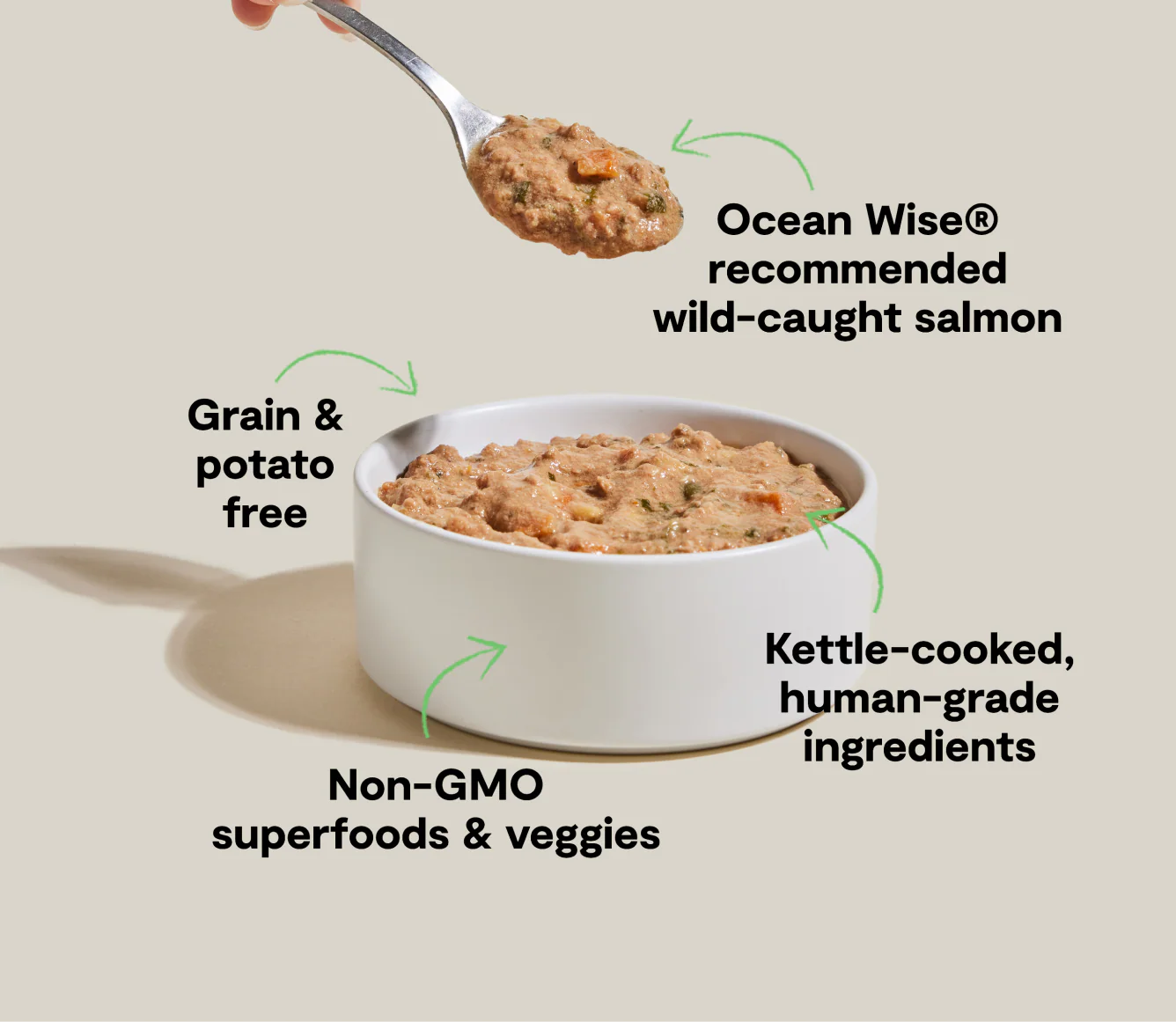 OPEN FARM Wild-Caught Salmon Rustic Stew for Dogs