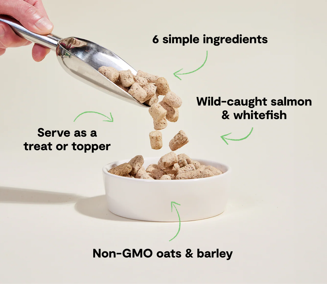 Open Farm Goodbowl Freeze Dried Raw Morsels – Wild-Caught Salmon & Wholesome Grains Recipe for Dogs