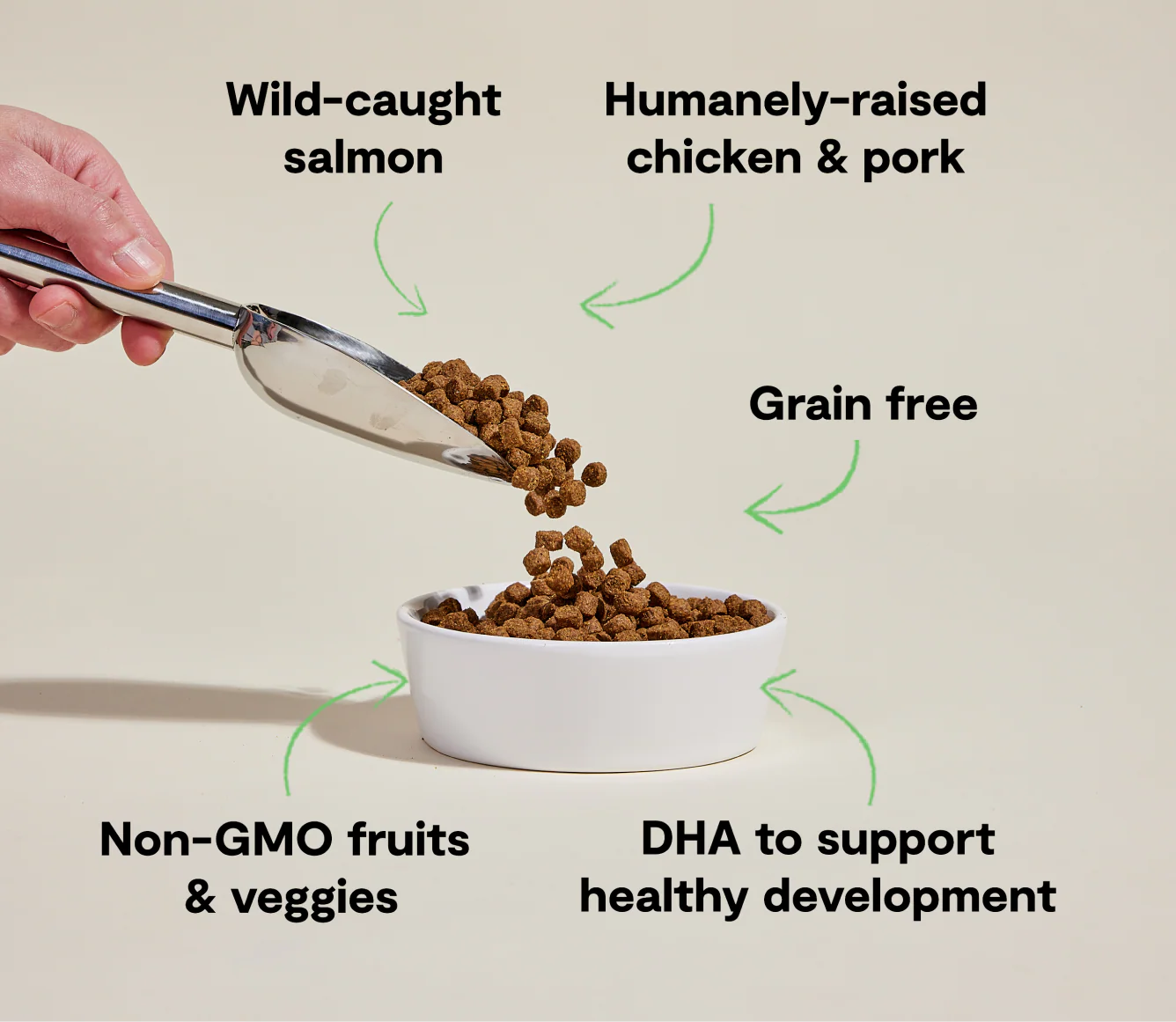 OPEN FARM Grain Free Puppy Recipe Dry Dog Food