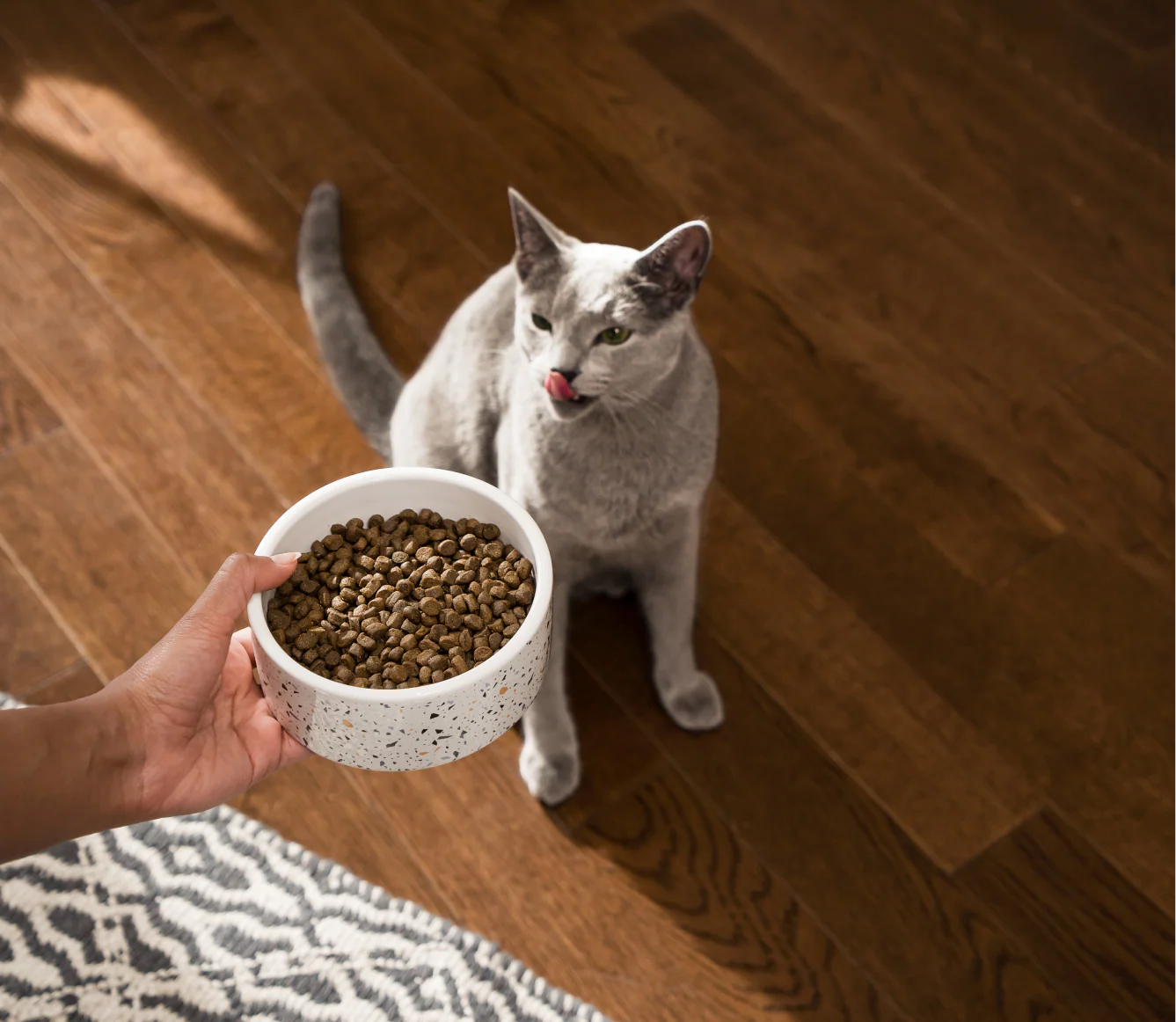 Open Farm Grain Free Dry Kitten Food