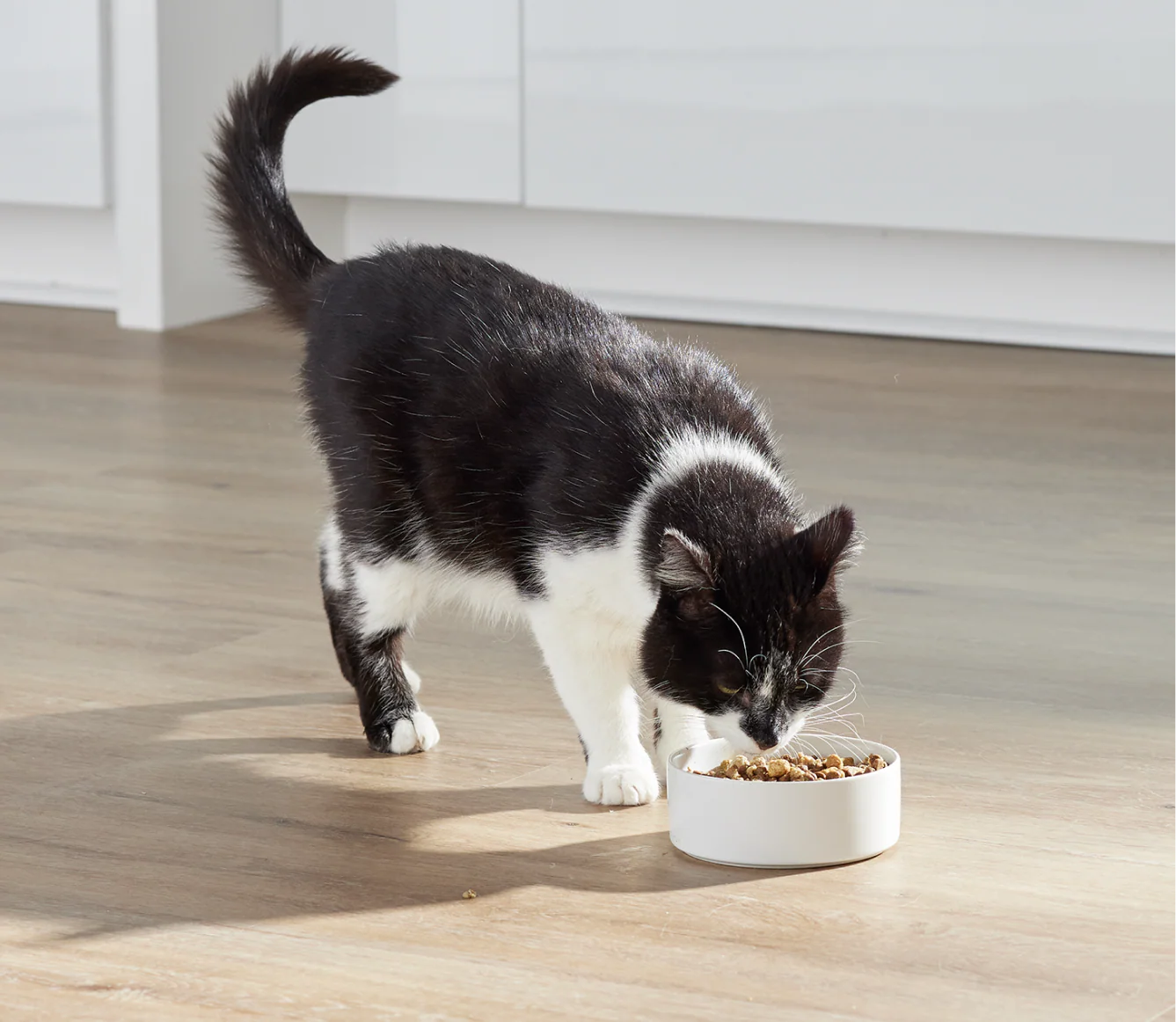 Open Fram RawMix Open Prairie Grain Free Dry Cat Food