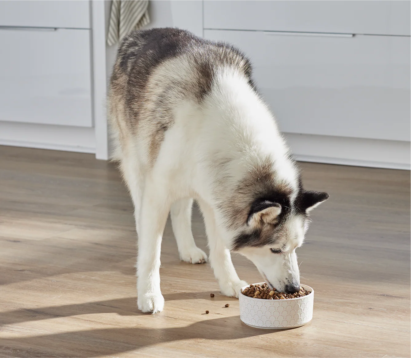 Open Farm RawMix Large Breed - Ancient Grain Dog Food
