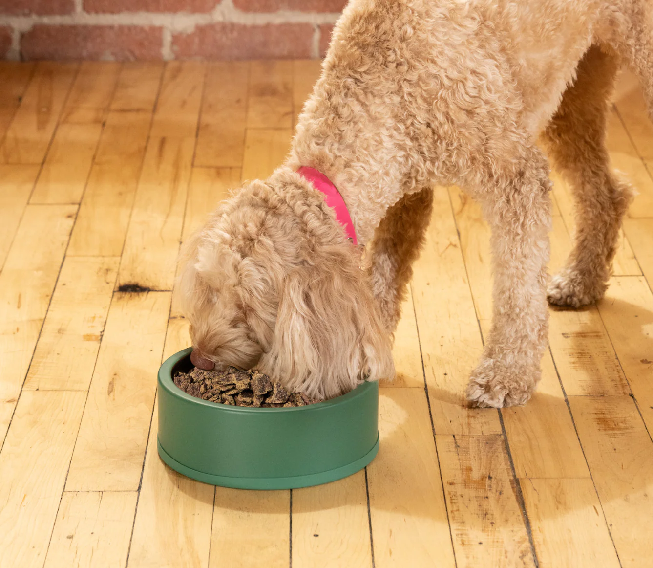 Open Farm Air Dried Harvest Chicken Recipe for Dogs